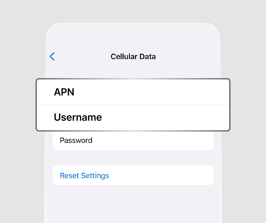 apn4